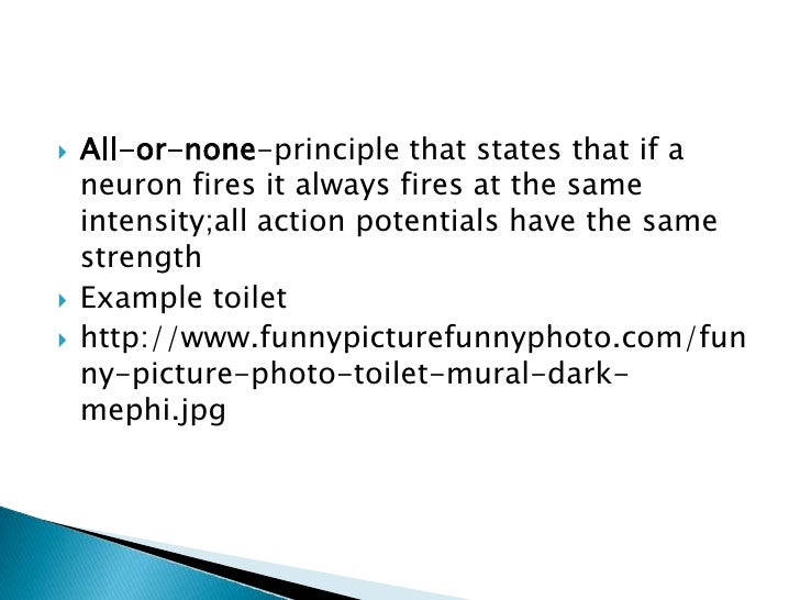 All or none principle of neural transmission - Wastower