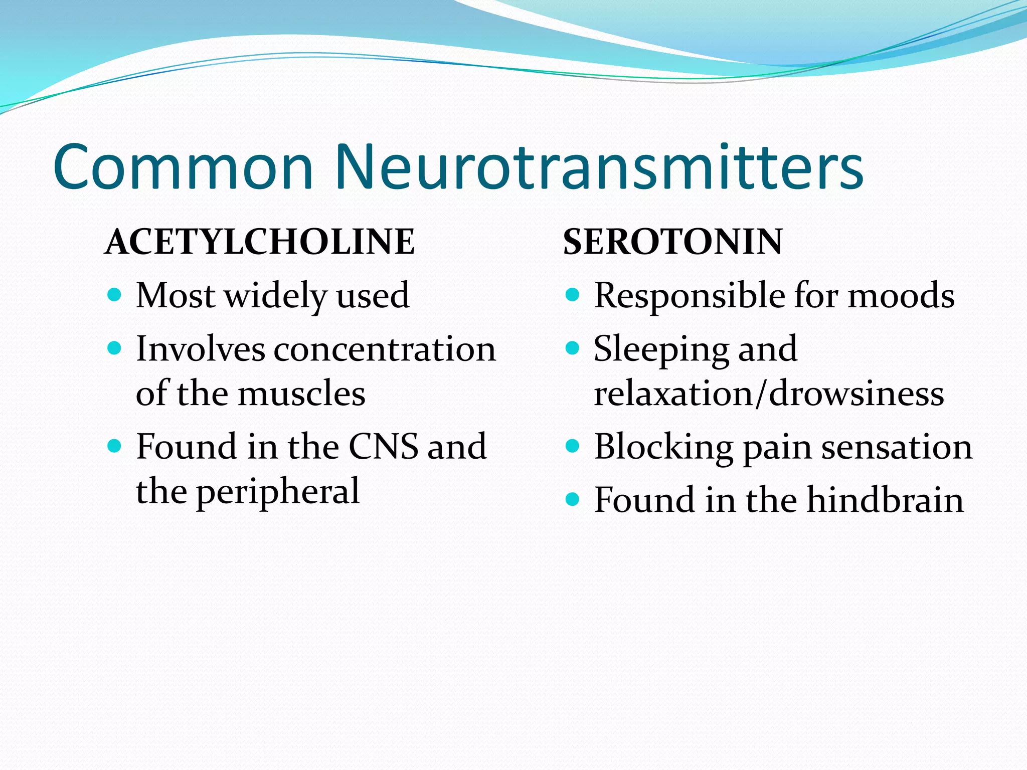 Common NeurotransmittersACETYLCHOLINEMost widely used Involves concentration of the musclesFound in the CNS and the peripheralSEROTONINResponsible for moods Sleeping and relaxation/drowsinessBlocking pain sensationFound in the hindbrain 