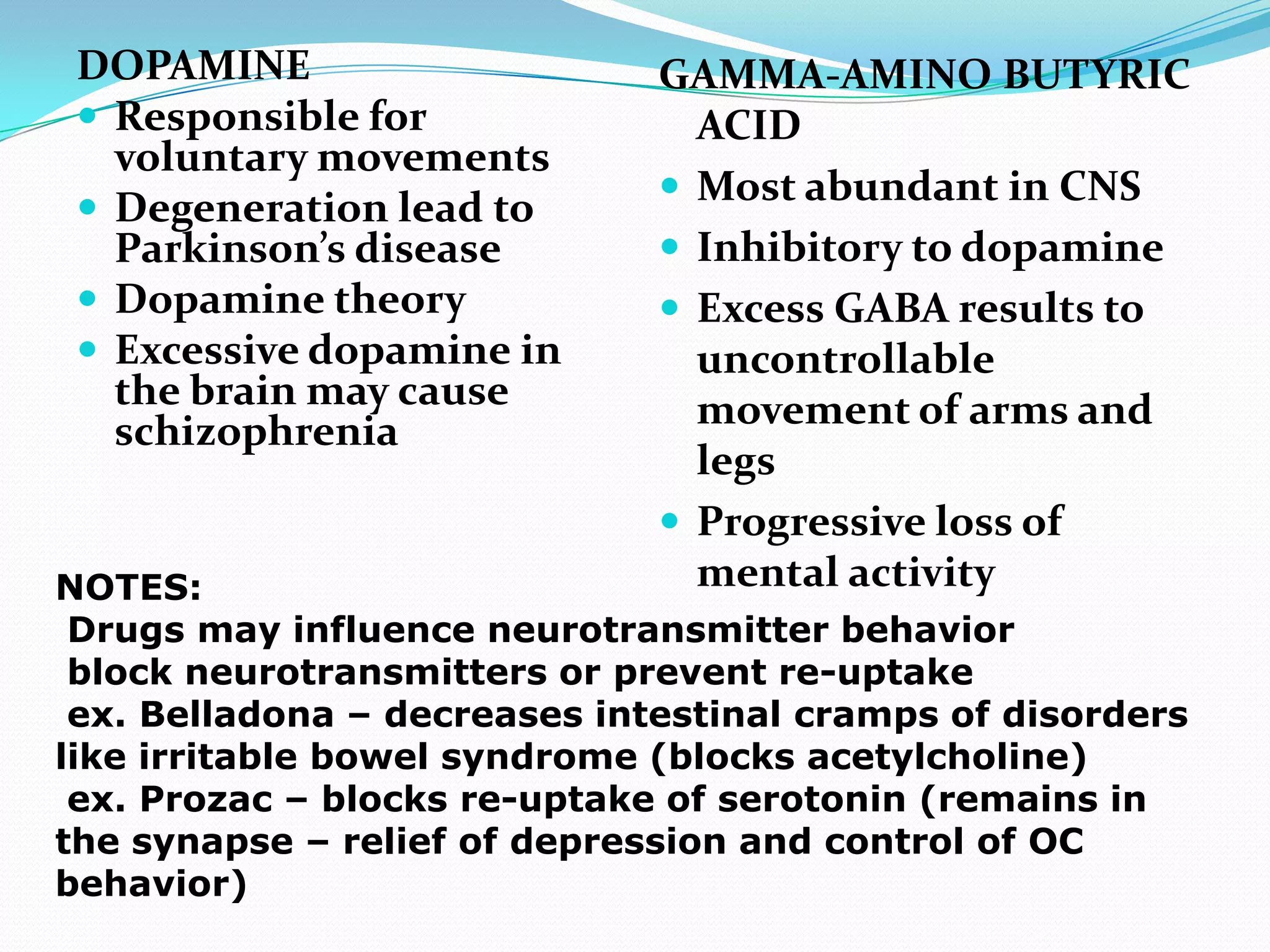 DOPAMINE Responsible for voluntary movementsDegeneration lead to Parkinson’s diseaseDopamine theory Excessive dopamine in the brain may cause schizophreniaGAMMA-AMINO BUTYRIC ACIDMost abundant in CNSInhibitory to dopamine Excess GABA results to uncontrollable movement of arms and legsProgressive loss of mental activityNOTES: Drugs may influence neurotransmitter behavior block neurotransmitters or prevent re-uptake ex. Belladona – decreases intestinal cramps of disorders like irritable bowel syndrome (blocks acetylcholine) ex. Prozac – blocks re-uptake of serotonin (remains in the synapse – relief of depression and control of OC behavior) 