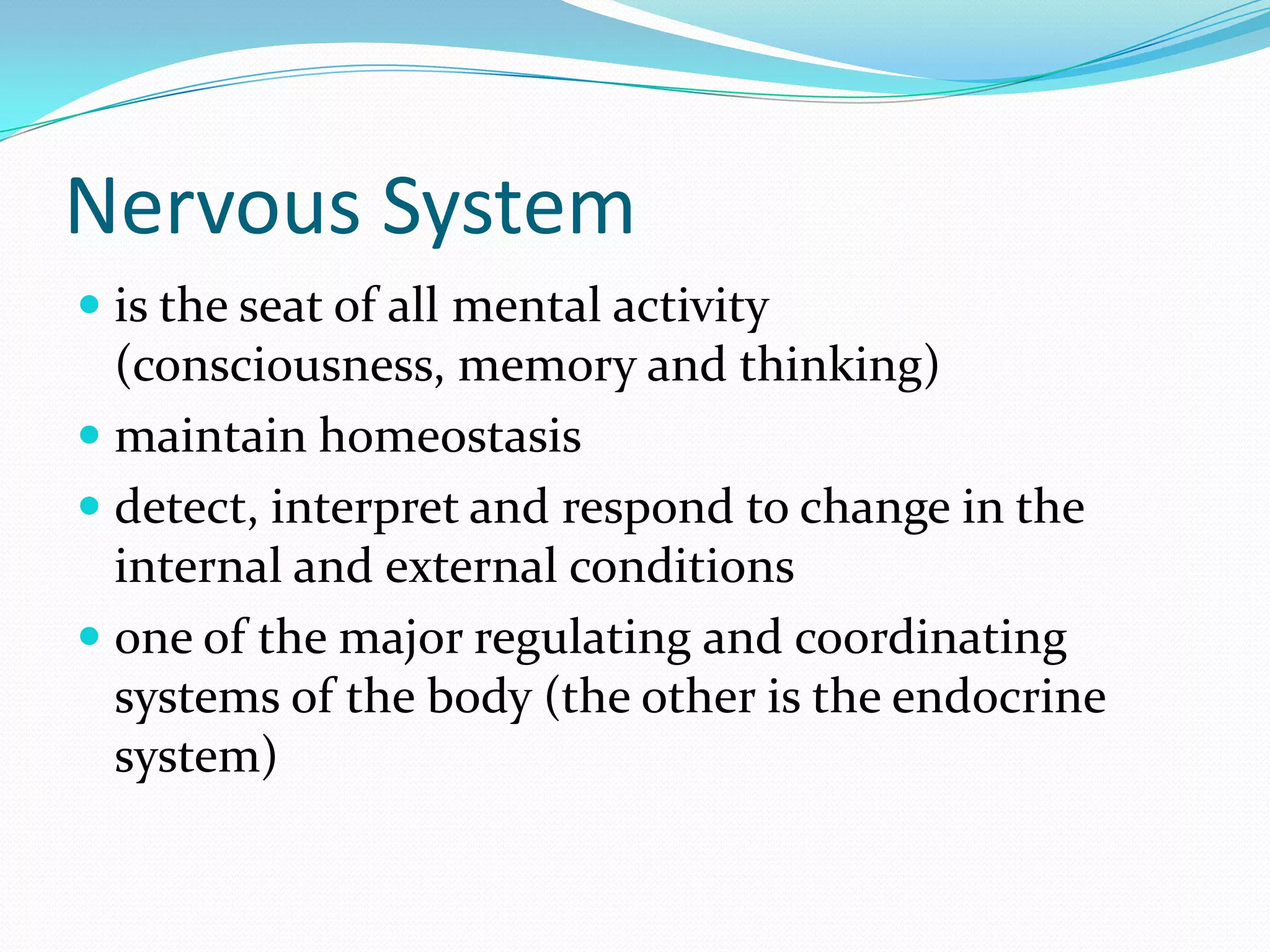 Nervous Systemis the seat of all mental activity (consciousness, memory and thinking)maintain homeostasisdetect, interpret and respond to change in the internal and external conditionsone of the major regulating and coordinating systems of the body (the other is the endocrine system)