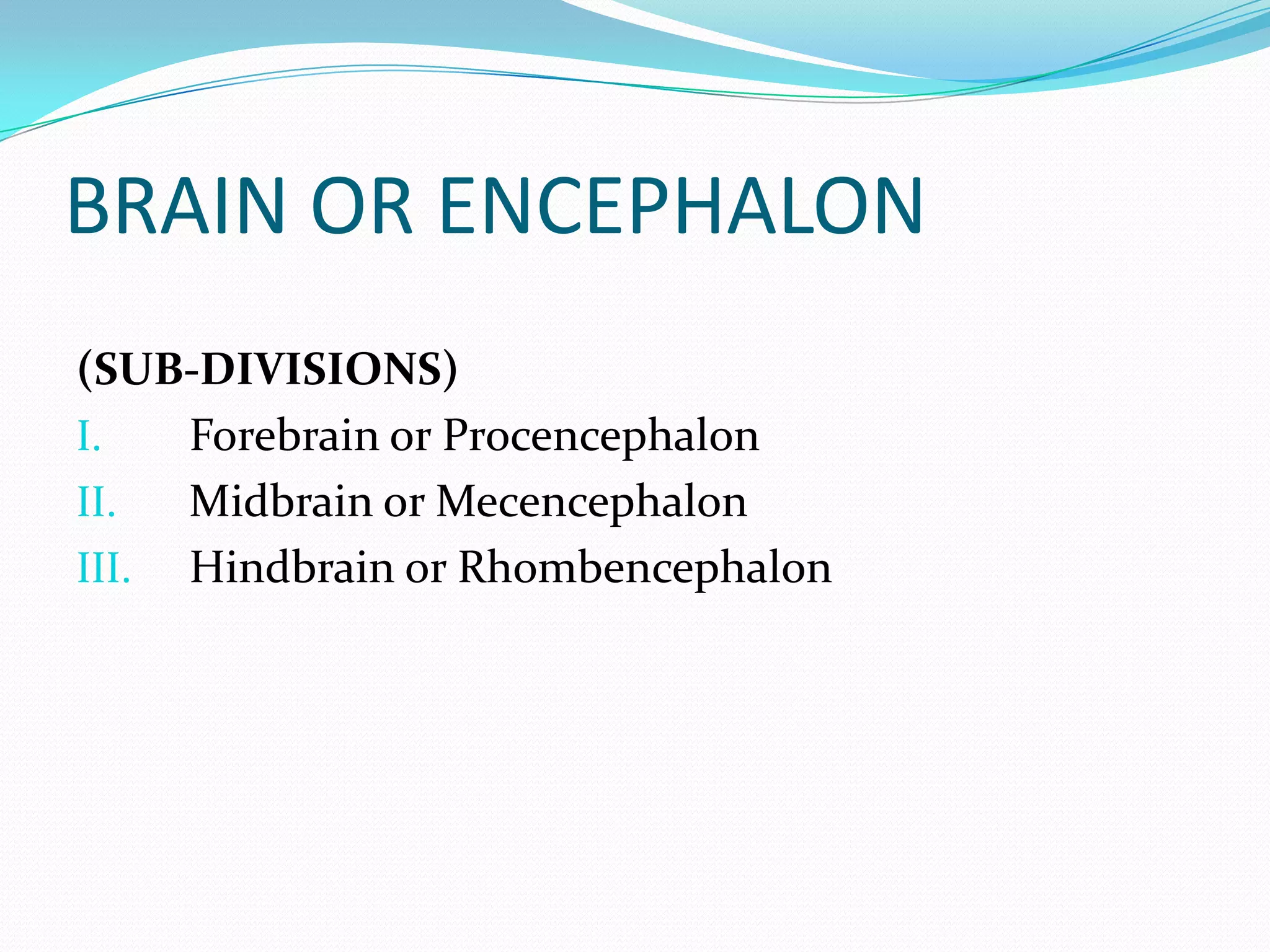 BRAIN OR ENCEPHALON(SUB-DIVISIONS)Forebrain or Procencephalon  Midbrain or MecencephalonHindbrain or Rhombencephalon