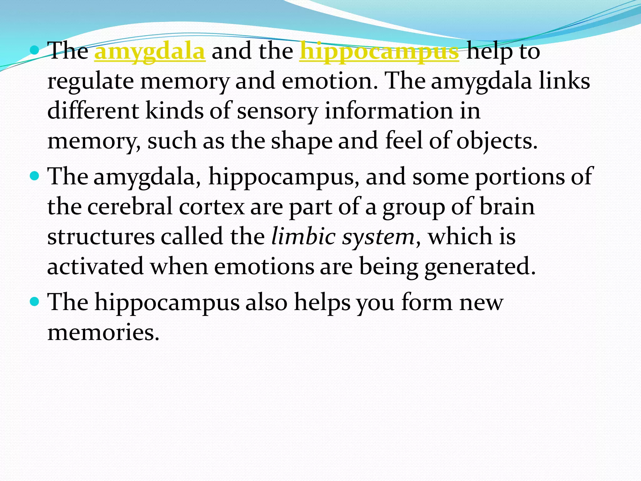 It regulates many physiological feedback systems, coordinating hunger, thirst, temperature regulation and sexual behavior