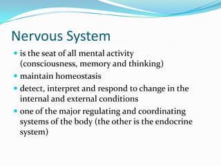 Nervous Systemis the seat of all mental activity (consciousness, memory and thinking)maintain homeostasisdetect, interpret and respond to change in the internal and external conditionsone of the major regulating and coordinating systems of the body (the other is the endocrine system)