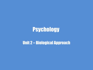 Psychology
Unit 2 – Biological Approach
 