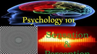Psychology101
Sensation
&
 