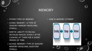 Psychology 101 Powerpoint Project | PPTX