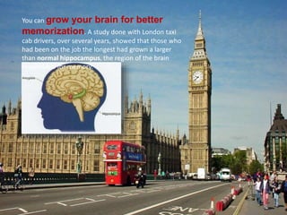 You can grow your brain for better
memorization. A study done with London taxi
cab drivers, over several years, showed that those who
had been on the job the longest had grown a larger
than normal hippocampus, the region of the brain
responsible for memory.
 