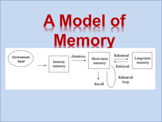 A Model of
Memory
 