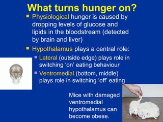 Hunger Dysfunction Introduction to motivation and emotion | ODP