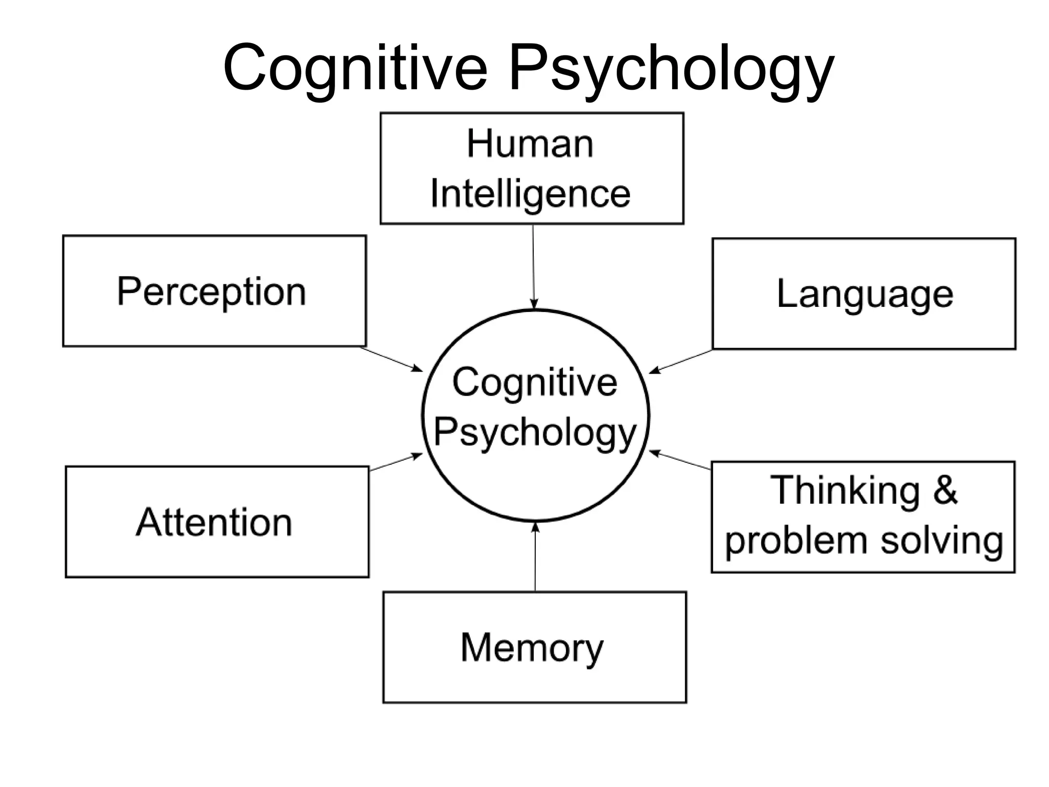 Summarise main points 