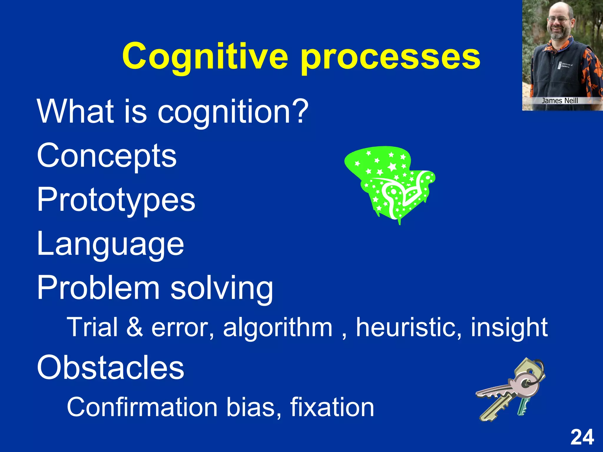 Theory (20%)  Some essays didn't present any theory 