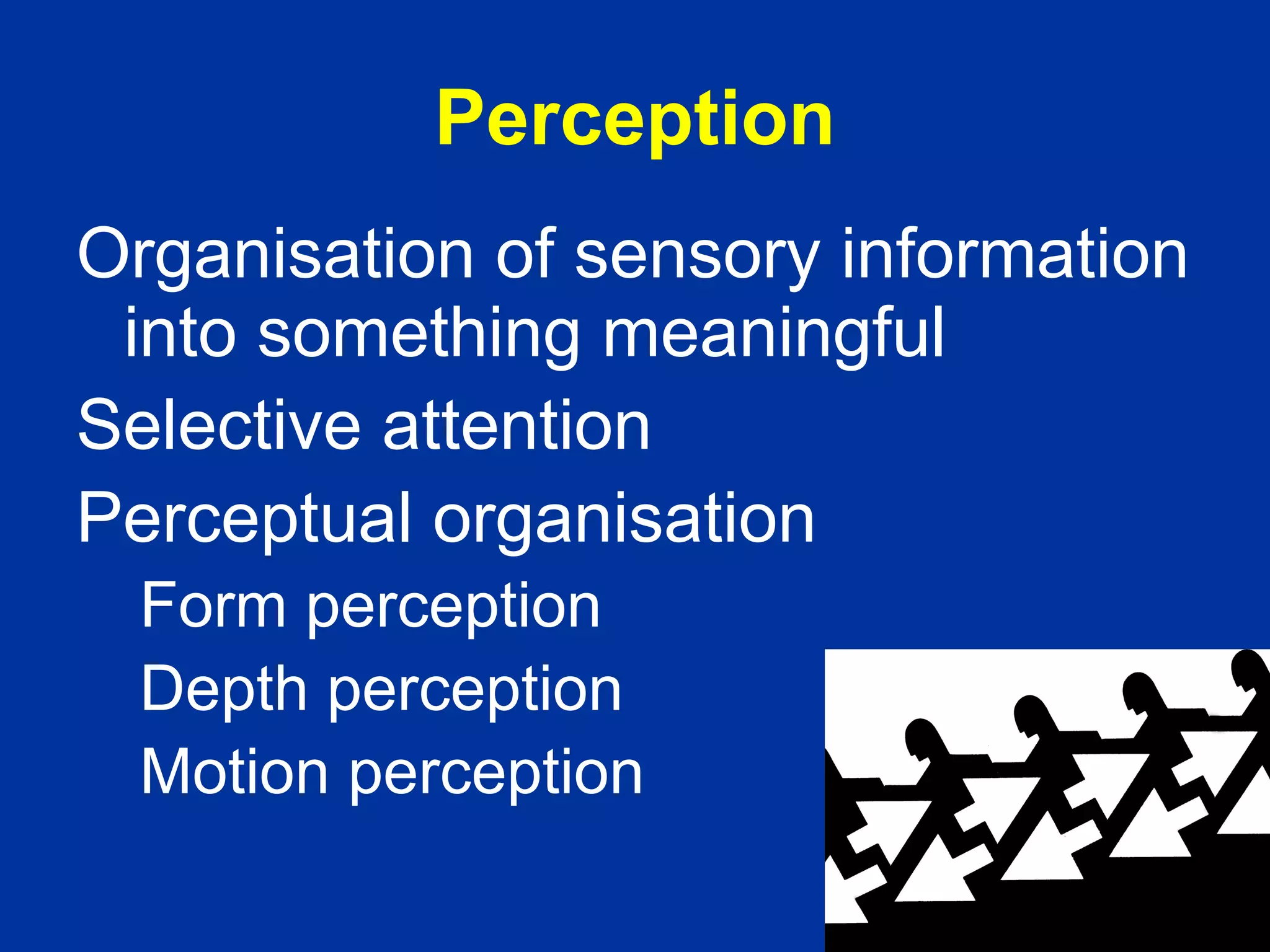 It is stronger to summarise a body of research than to simply describe a small number of studies in detail 