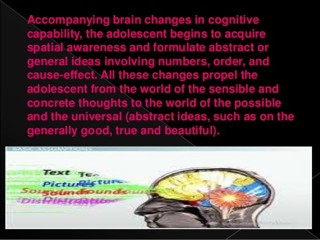 cognitive development of the high school learners