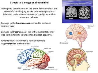 Memory Abnormal Psychology and abnormality | PPTX