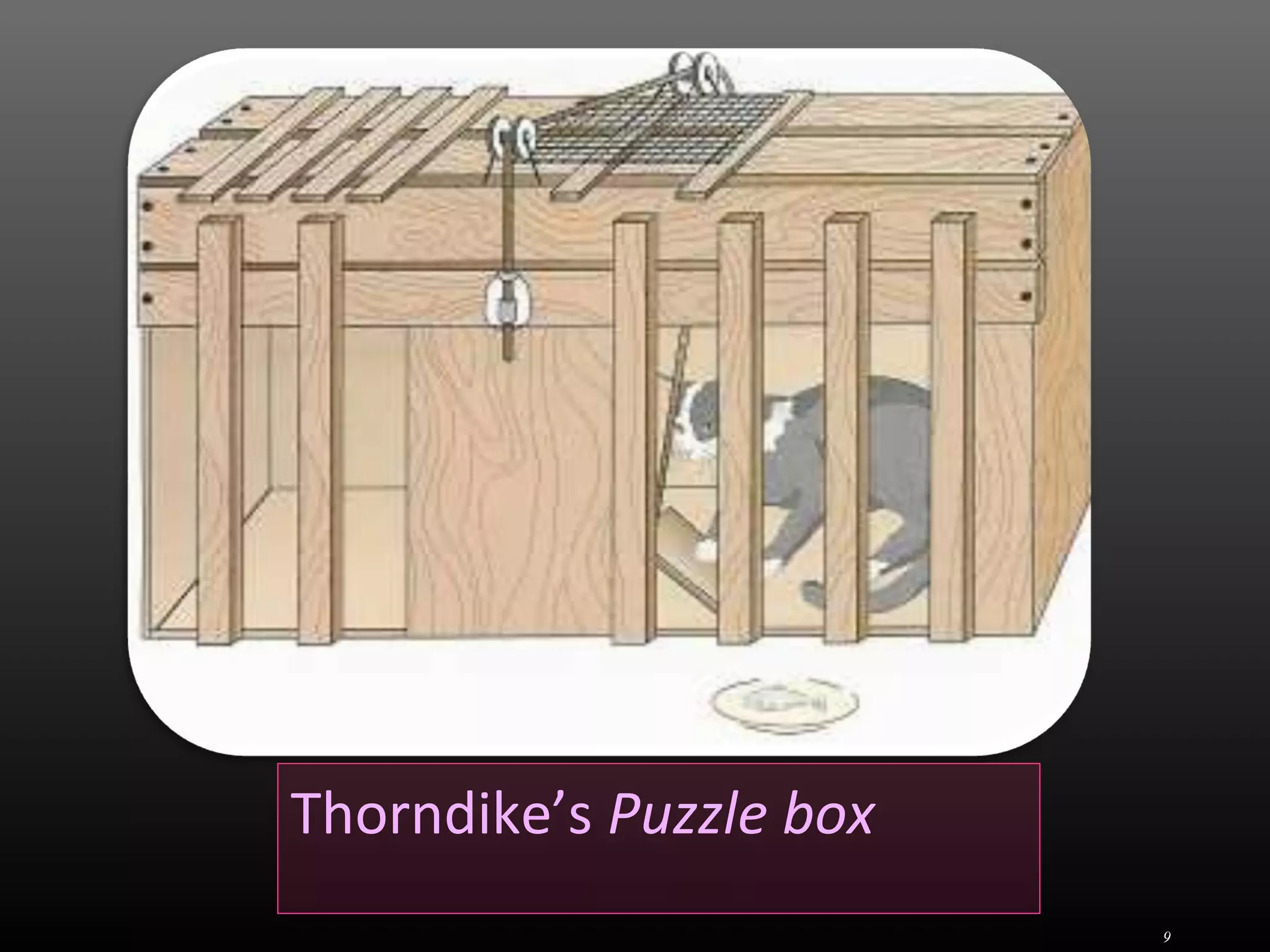 Thorndike’s Puzzle box
9
 
