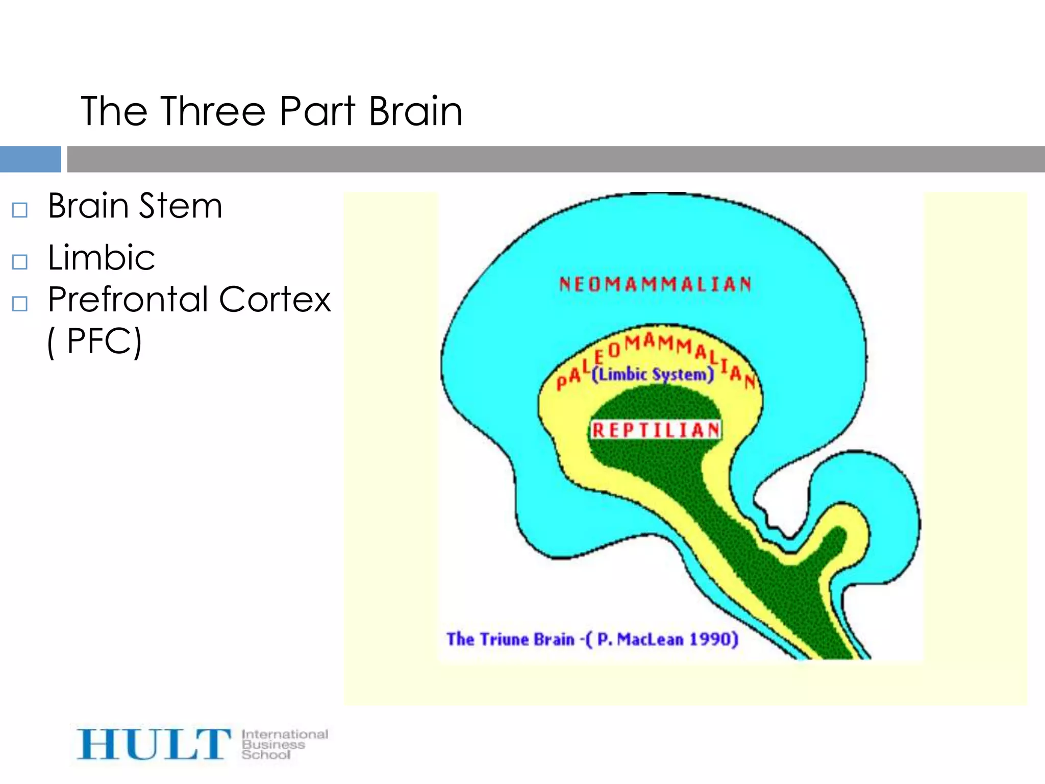 The Three Part Brain

   Brain Stem
   Limbic
   Prefrontal Cortex
    ( PFC)
 