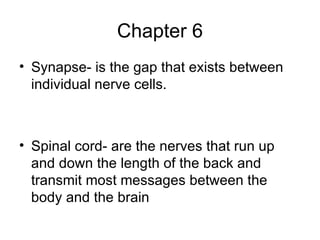Chapter 6 Synapse- is the gap that exists between individual nerve cells. Spinal cord- are the nerves that run up and down the length of the back and transmit most messages between the body and the brain 