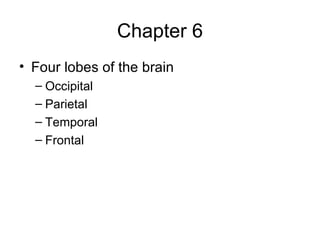 Chapter 6 Four lobes of the brain Occipital  Parietal Temporal Frontal 