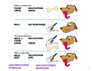 Psychology in orthodontics | PPTX