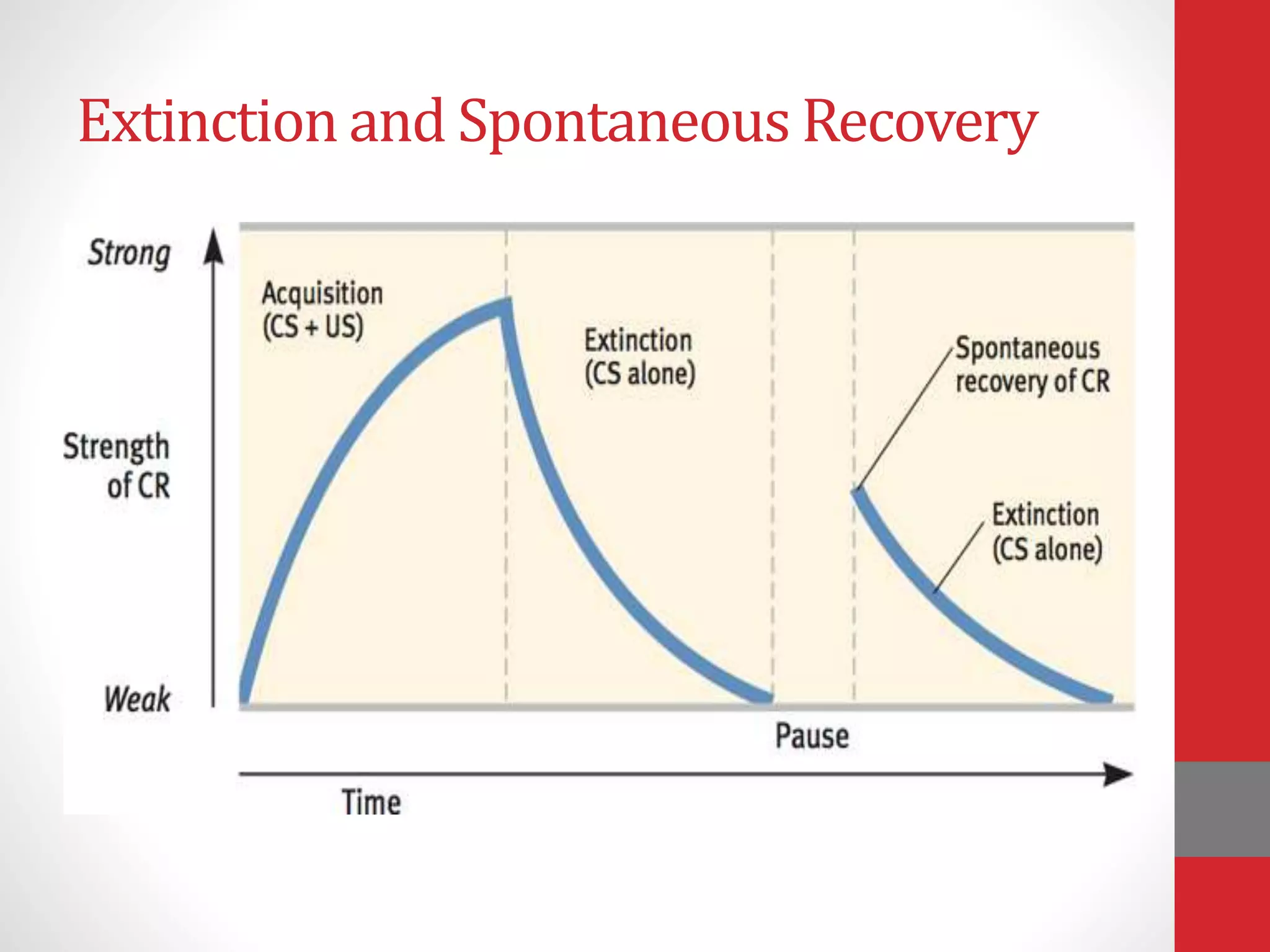 Extinction and Spontaneous Recovery
 