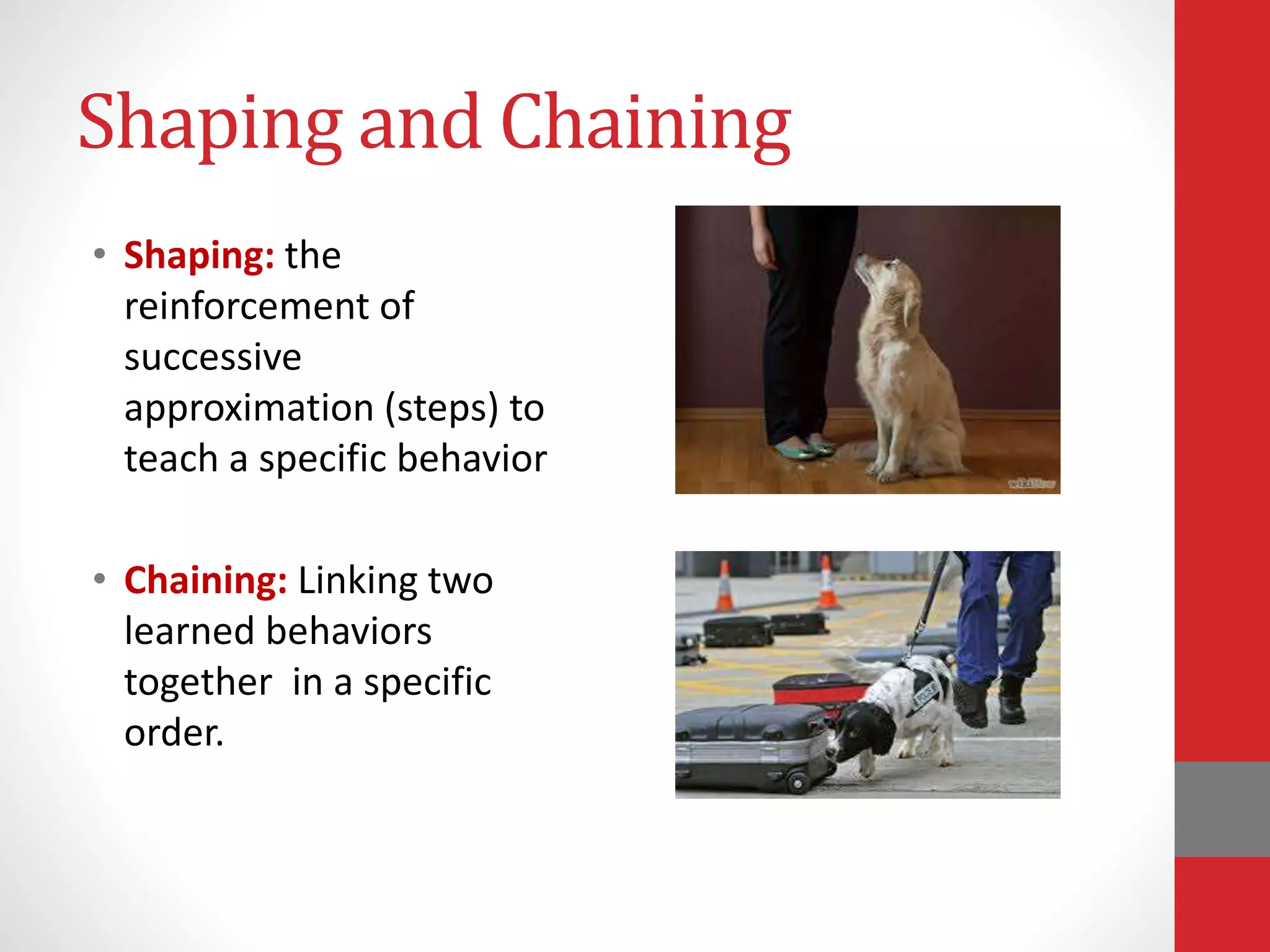 Shaping and Chaining
• Shaping: the
reinforcement of
successive
approximation (steps) to
teach a specific behavior
• Chaining: Linking two
learned behaviors
together in a specific
order.
 