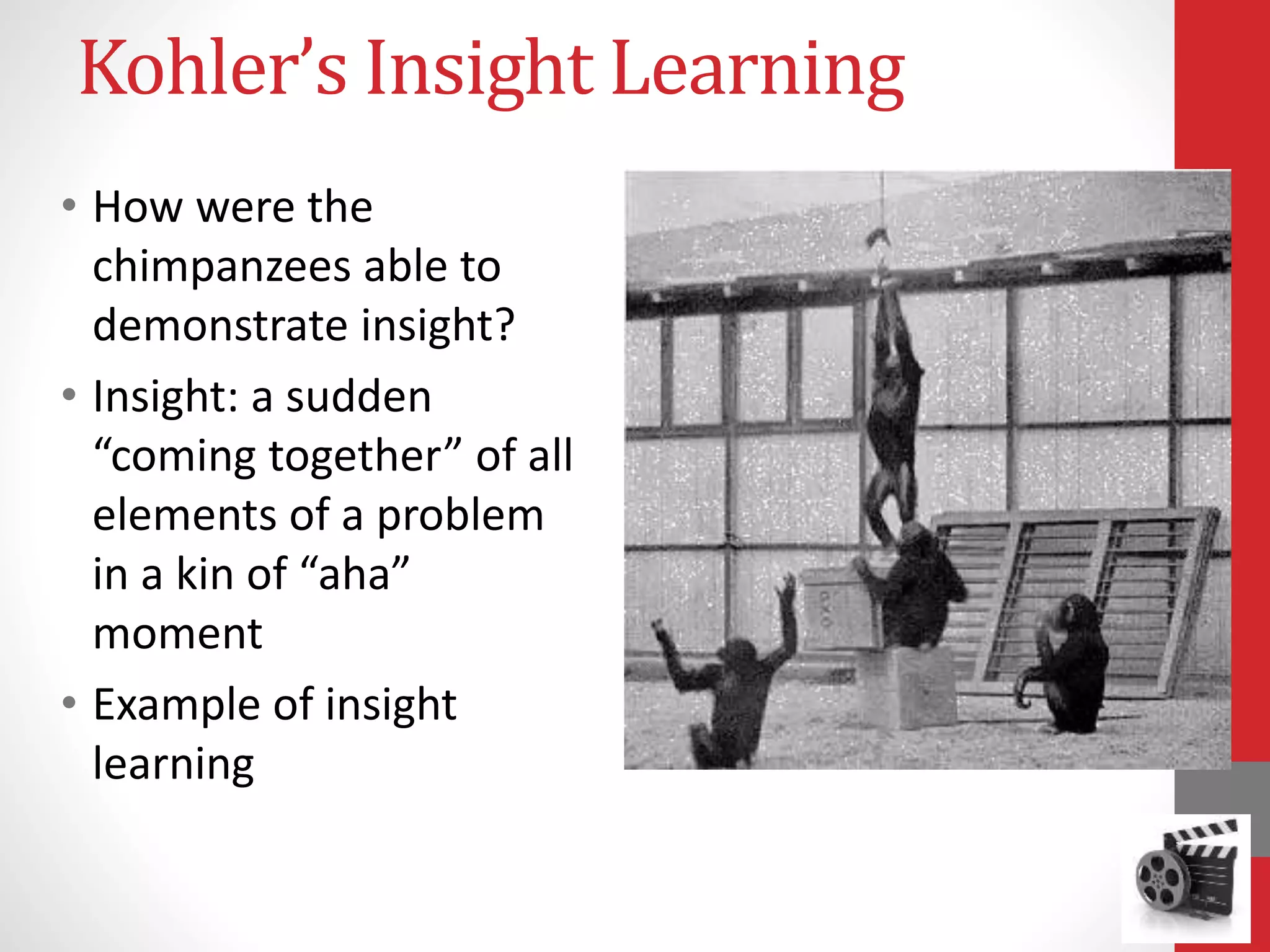 Kohler’s Insight Learning
• How were the
chimpanzees able to
demonstrate insight?
• Insight: a sudden
“coming together” of all
elements of a problem
in a kin of “aha”
moment
• Example of insight
learning
 