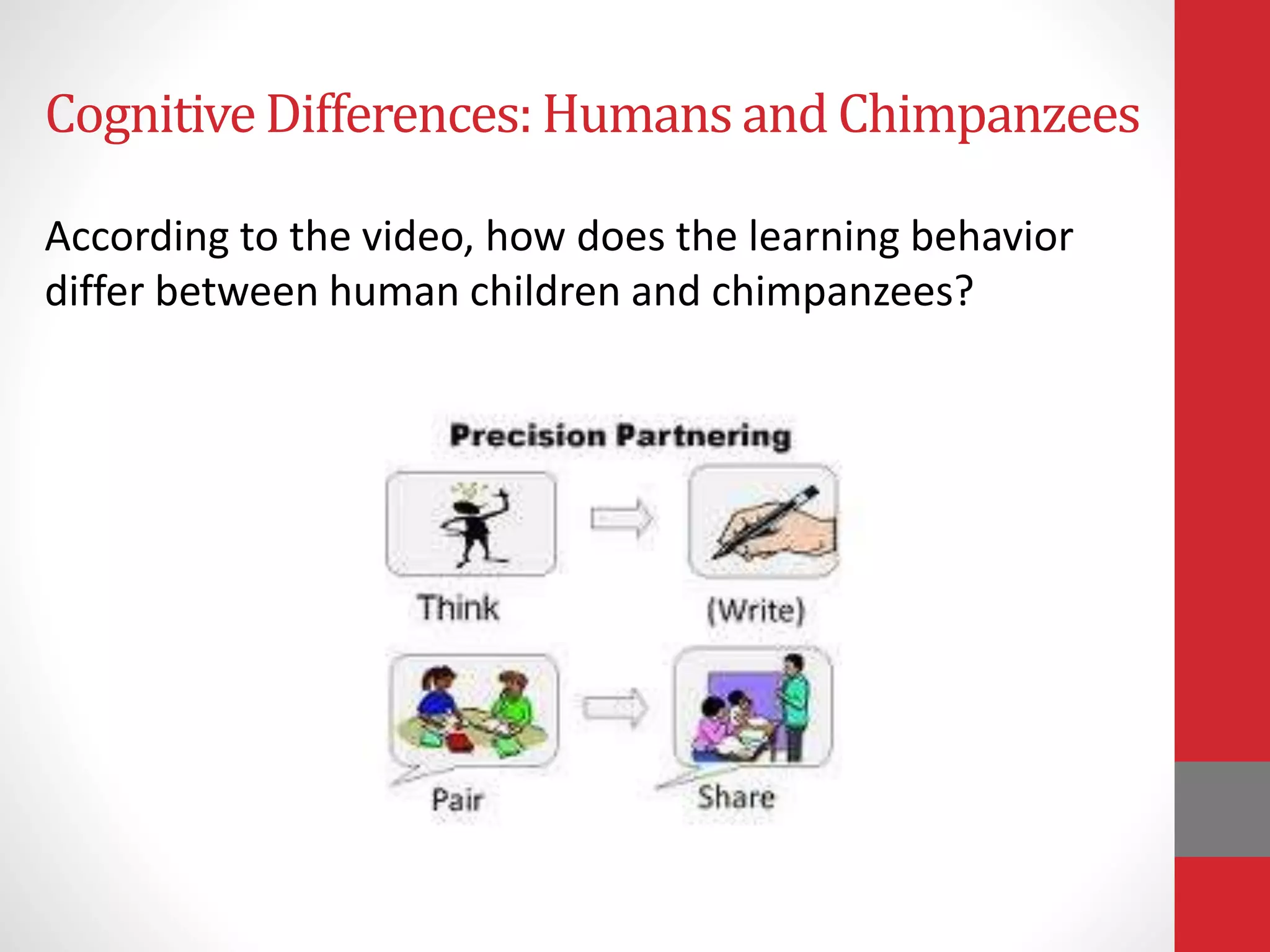 CognitiveDifferences:Humans and Chimpanzees
According to the video, how does the learning behavior
differ between human children and chimpanzees?
 