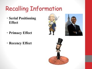 Recalling Information
• Serial Positioning
Effect
• Primacy Effect
• Recency Effect
 