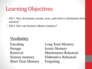 Learning Objectives
• EQ 1: How do humans encode, store, and retrieve information from
memory?
• EQ 2: How can humans enhance memory?
Encoding
Storage
Retrieval
Sensory memory
Short Term Memory
Long Term Memory
Iconic Memory
Maintenance Rehearsal
Elaborative Rehearsal
Forgetting
Vocabulary
 