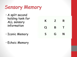 Sensory Memory
• A split second
holding tank for
ALL sensory
information
• Iconic Memory
• Echoic Memory
 