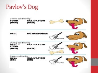 Pavlov’s Dog
 