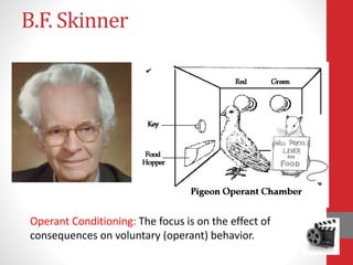 B.F. Skinner
Operant Conditioning: The focus is on the effect of
consequences on voluntary (operant) behavior.
 