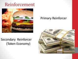 Reinforcement
Primary Reinforcer
Secondary Reinforcer
(Token Economy)
 