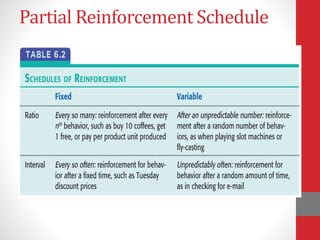 Partial Reinforcement Schedule
 