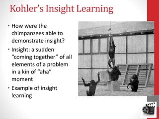 Kohler’s Insight Learning
• How were the
chimpanzees able to
demonstrate insight?
• Insight: a sudden
“coming together” of all
elements of a problem
in a kin of “aha”
moment
• Example of insight
learning
 