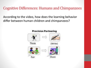 CognitiveDifferences:Humans and Chimpanzees
According to the video, how does the learning behavior
differ between human children and chimpanzees?
 