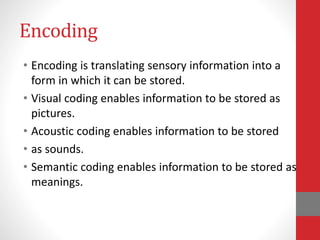 Encoding
• Encoding is translating sensory information into a
form in which it can be stored.
• Visual coding enables information to be stored as
pictures.
• Acoustic coding enables information to be stored
• as sounds.
• Semantic coding enables information to be stored as
meanings.
 