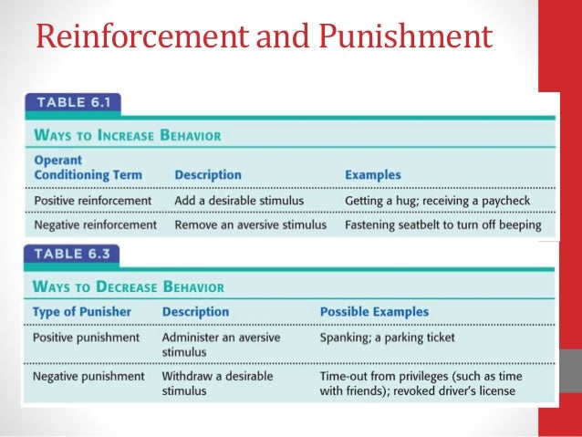 essay negative positive reinforcement essay negative positive reinforcement