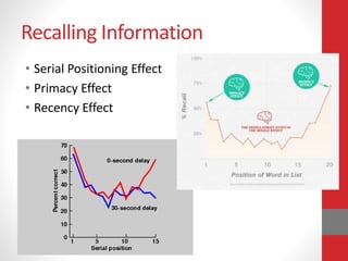 Recalling Information
• Serial Positioning Effect
• Primacy Effect
• Recency Effect
 