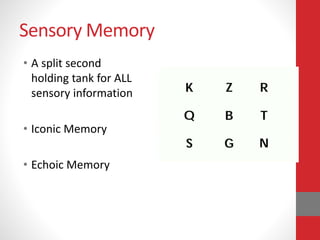 Sensory Memory
• A split second
holding tank for ALL
sensory information
• Iconic Memory
• Echoic Memory
 