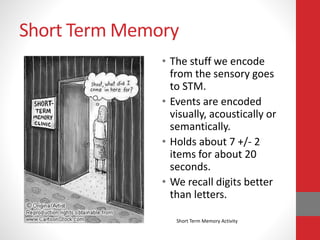 Short Term Memory
• The stuff we encode
from the sensory goes
to STM.
• Events are encoded
visually, acoustically or
semantically.
• Holds about 7 +/- 2
items for about 20
seconds.
• We recall digits better
than letters.
Short Term Memory Activity
 