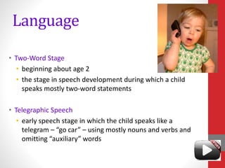 Language
• Two-Word Stage
• beginning about age 2
• the stage in speech development during which a child
speaks mostly two-word statements
• Telegraphic Speech
• early speech stage in which the child speaks like a
telegram – “go car” – using mostly nouns and verbs and
omitting “auxiliary” words
 