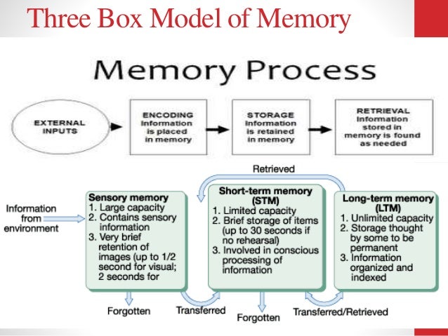 3 main steps creating memories 3 main steps creating memories