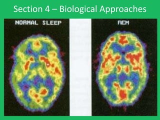 Section 4 – Biological Approaches
 