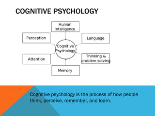 COGNITIVE PSYCHOLOGY
Cognitive psychology is the process of how people
think, perceive, remember, and learn.
