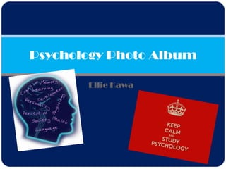 Ellie Kawa
Psychology Photo Album
 