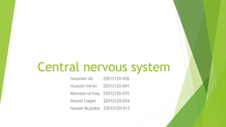 Central nervous system
Hussnain Ali 22012120-026
Hussain Imran 22012120-041
Mansoor-ul-haq 22012120-035
Shoaib Liaqat 22012120-034
Hassan Mujtaba 22012120-013
 