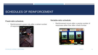 SCHEDULES OF REINFORCEMENT
Fixed-ratio schedule:
• Reinforcement is given only after a certain number
of responses.
Variable-ratio schedule:
• Reinforcement occurs after a varying number of
responses rather than after a fixed number.
3/4/2014PSYCHOLOGY (OPERANT CONDITIONING) 14
 