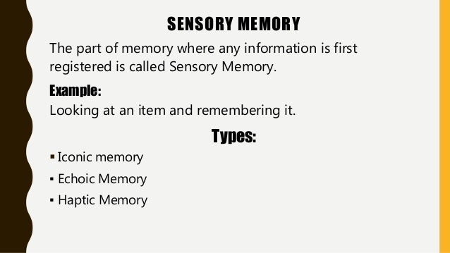 Memory And Types Psychology