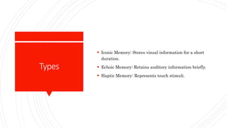 Memory, Its Components, Its Types, Seven Sins of Memory, Strategies to ...